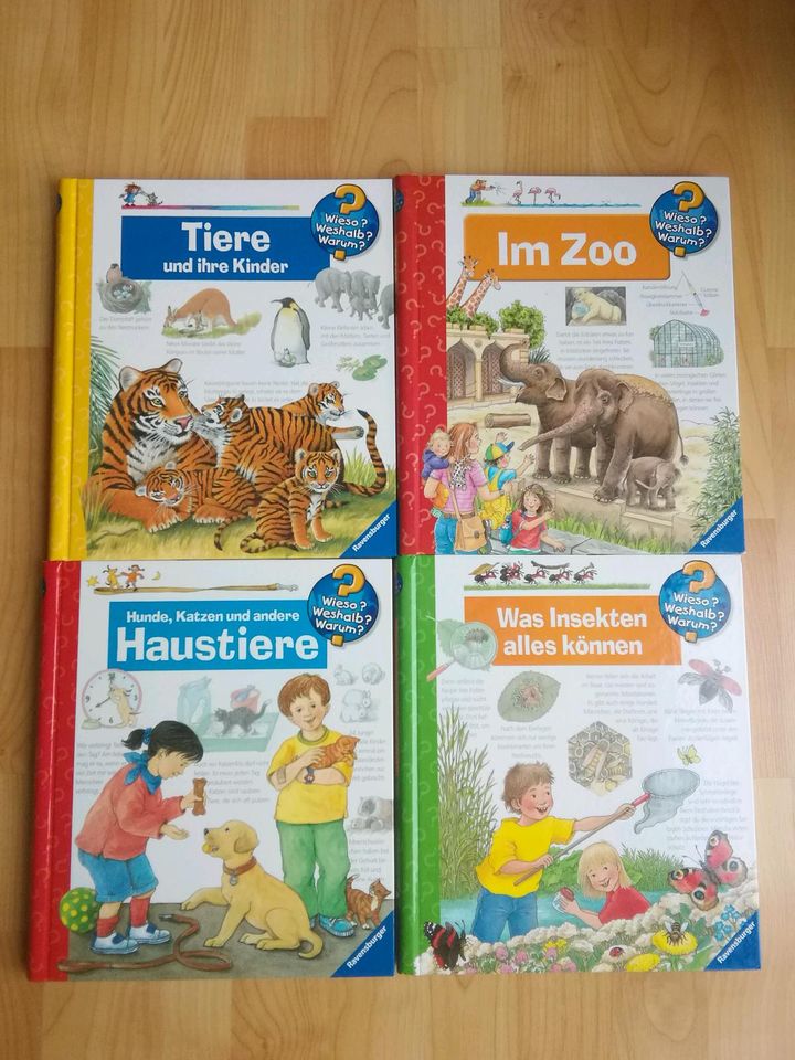 Wieso? Weshalb? Warum? Bücher ab 4+: Tiere,Zoo,Haustiere,Insekten in Stadthagen