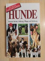 Hunde - Kennen lernen, Haltung, Pflege und Züchtung Sachsen - Bannewitz Vorschau