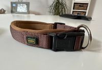 Hunter Halsband für kleine Hunde Sachsen-Anhalt - Harsleben Vorschau