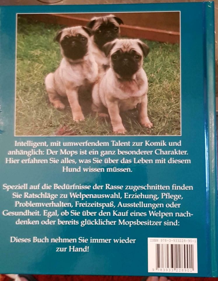 MOPS Ratgeber Hundebuch Hunde Buch Tipps Möpse Hund Rasse Buch in Köln