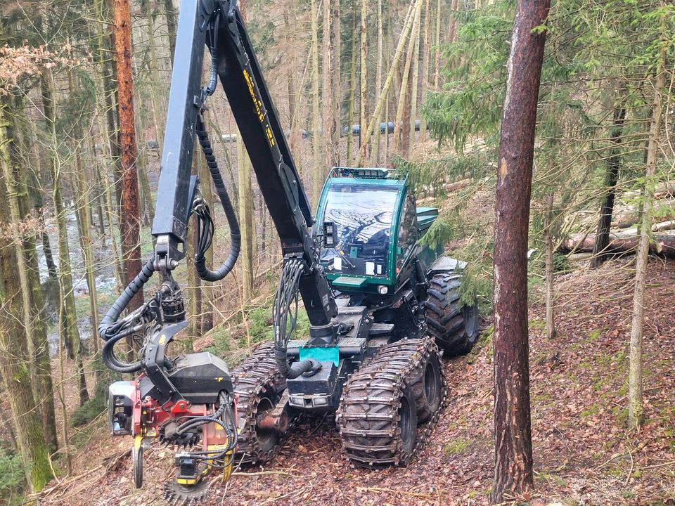 Durchforstung  Stockkauf. Wald forst in Werdau