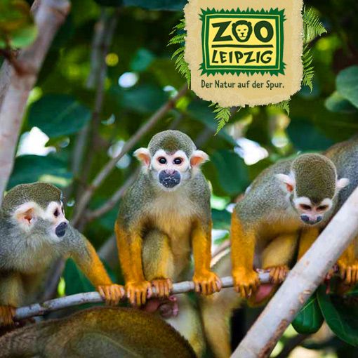 Leipzig Zoo Eintritt Tageskarte Hotel Gutschein Reise Urlaub 4Per in Hamburg