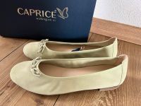 REDUZIERT ❤️ NEU Caprice Ballerina Gr.40 mint Leder Rheinland-Pfalz - Zweibrücken Vorschau