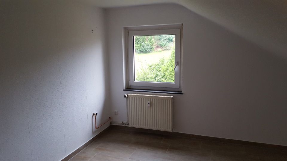 Sehr schöne renovierte Dachgeschoss-Wohnung 1,5 ZKB in Sinntal