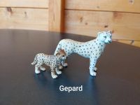 Schleich Gepard Leopard Jaguar Hessen - Bad Soden-Salmünster Vorschau