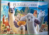 1000 Teile Puzzle Innenstadt - Köln Deutz Vorschau