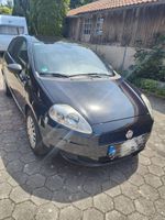 Fiat Punto 1.2 Bayern - Mindelheim Vorschau