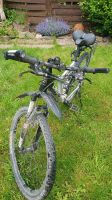 Mountainbike Rheinland-Pfalz - Koblenz Vorschau