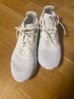 Sportschuh Hallenschuh Turnschuh Puma Bayern - Karlsfeld Vorschau
