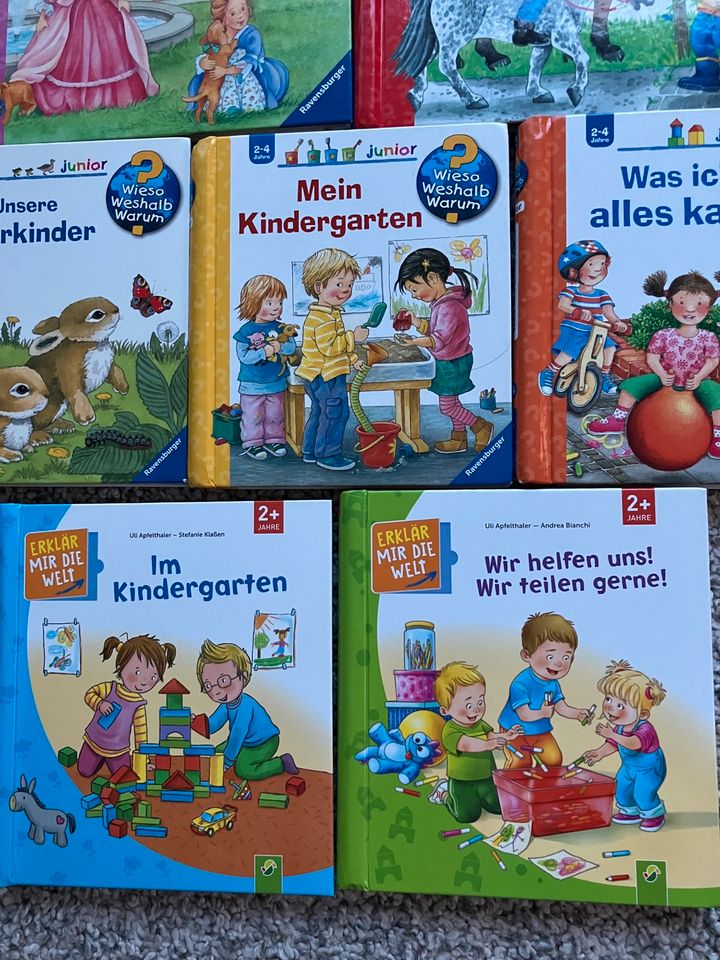 Wieso Weshalb Warum Bücher, groß + klein Klappenbücher 2+, 4-7 in Stuttgart
