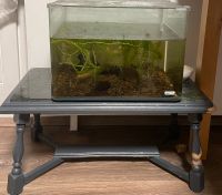 Nanocube 30L Aquarium, kleiner Tisch und alles Frankfurt am Main - Ostend Vorschau