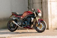 Triumph speed triple Baden-Württemberg - Lottstetten Vorschau