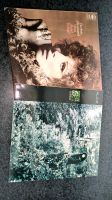 2 LP LP's Sammlung Barabra Streisand & Alice "Park Hotel" Vinyl Hessen - Allendorf Vorschau