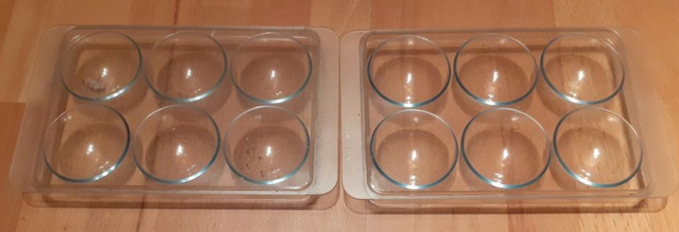 Miele Kühlschrank 2x Eierablage für 6 Eier transparent 7430552.4 in Denzlingen