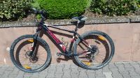 Mountainbike Trek Rahmen 19" (48cm), Laufradgröße 29", 3x8 Gänge Hessen - Selters Vorschau