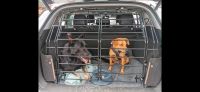 Hundeschutzgitter Kofferraum SUV Tucson Hundegitter Bayern - Sengenthal Vorschau