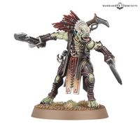 Kroot Fleischformer Flesh Shaper warhammer 40K tau empire Bayern - Erlangen Vorschau