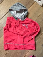 Puma Hoodie Mit Kaputze Gr.92 Düsseldorf - Pempelfort Vorschau