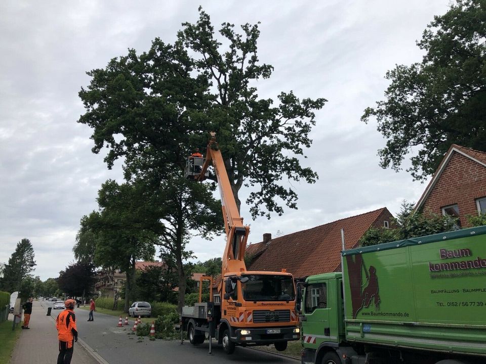 Baumpflege / Baumfällung / Sturmschäden /Baumbewässerung in Schneverdingen