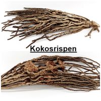 Kokosrispen 40 - 70 cm Aquarium Terrarium Nager Voliere 12,99 €* Bayern - Velburg Vorschau