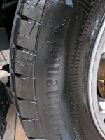 Continental VanContact Eco 235/65 R16 115/113R 4 Stück neuwertig Rheinland-Pfalz - Rodalben Vorschau