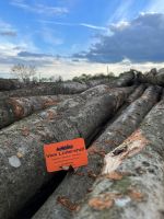 --- STAMMHOLZ--- (Buche, Eiche, Kiefer...)  Brennholz/Kaminholz Sachsen-Anhalt - Klötze Vorschau