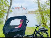 Pedelec  Promovec Cargo Lastenfahrrad E-Bike Schleswig-Holstein - Glücksburg Vorschau