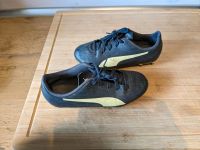 Fußballschuhe Puma 33 Niedersachsen - Lauenbrück Vorschau