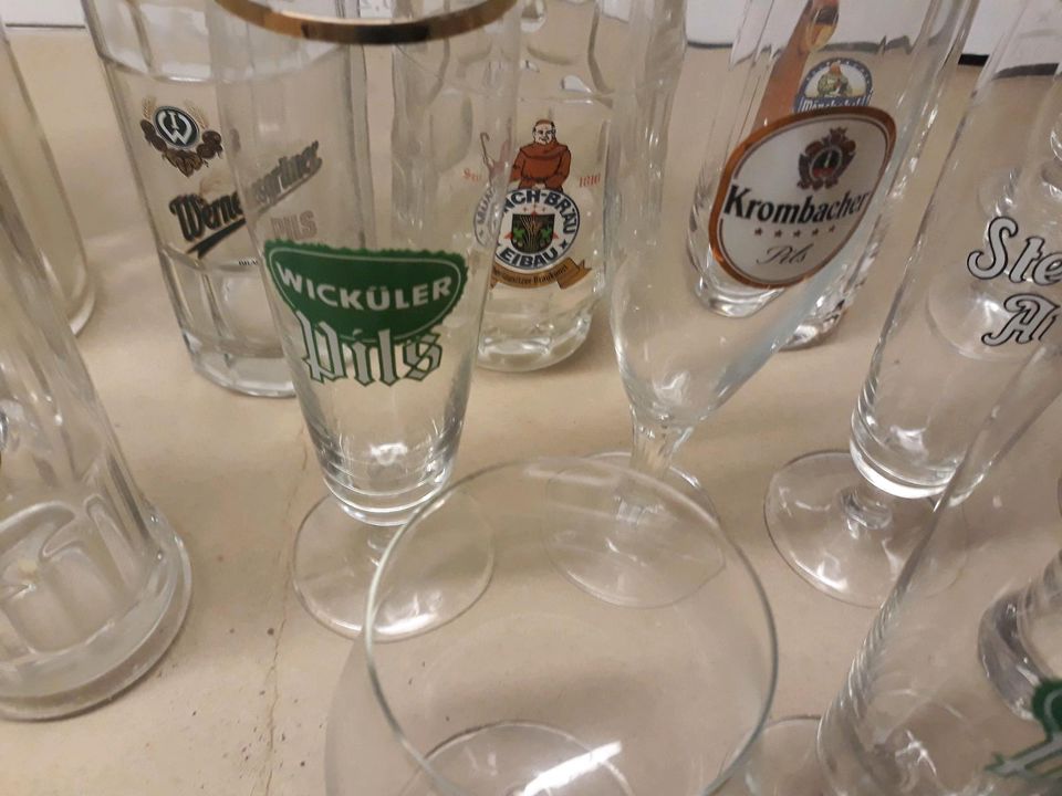 Verschiedene Biergläser Sammlung in Hagen