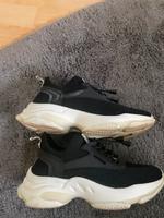 Steve Madden Damenschuhe Saarland - Homburg Vorschau