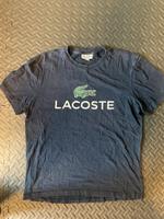 Herren Lacoste T-Shirt M/L navyblue Sachsen - Eilenburg Vorschau