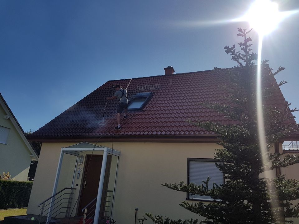 Dachreinigung Dachbeschichtung in Dresden