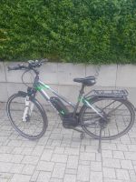 Pegasus Solero, E-bike, Fahrrad, Peddlec Baden-Württemberg - Rangendingen Vorschau
