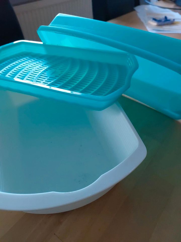 Tupperware Four Seasons - Luchbox, Brotdose, Vorratsdose, Dose in Wolnzach