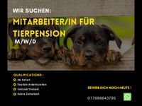 Mitarbeiter/in für Tierpension gesucht (m/w/d) Berlin - Marzahn Vorschau