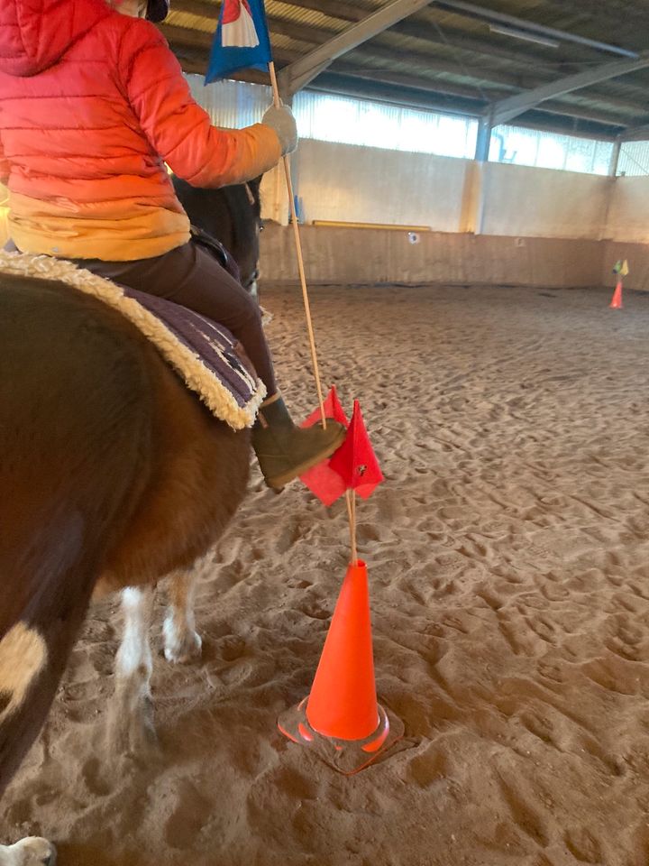 Kinderreiten /Reitunterricht für Kinder / Hippolini in Freiburg im Breisgau