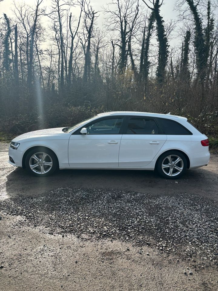 Audi A4 Avant 2.0 TDI DPF clean Diesel multitronic Ambient in Mosbach