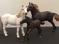 Schleich || Mustang Familie Nordrhein-Westfalen - Senden Vorschau