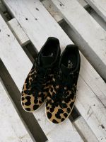 Adidas*Leoprint* Nordrhein-Westfalen - Siegen Vorschau