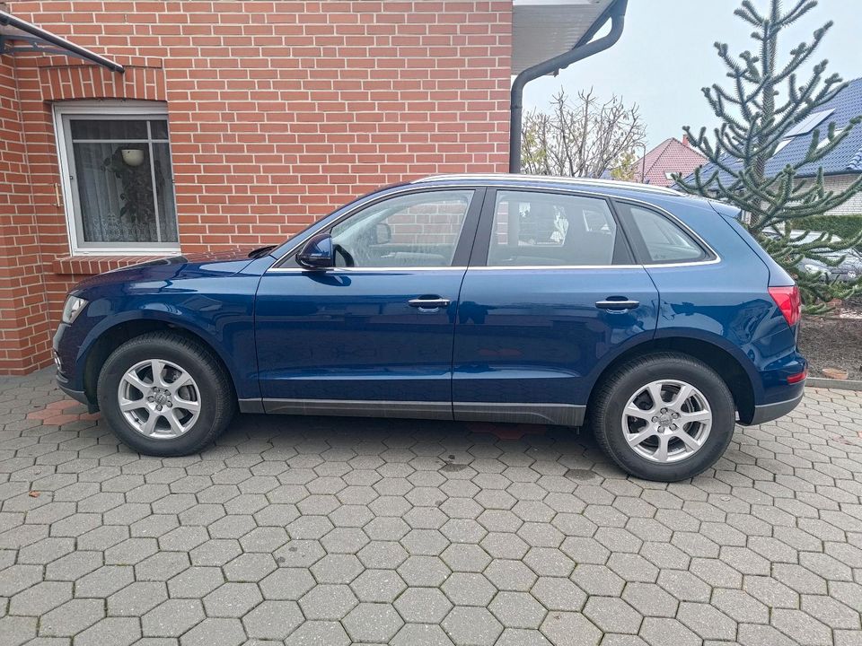 Audi Q5 2.0 TDI quattro / AHK / KAM uvm. in Alfhausen