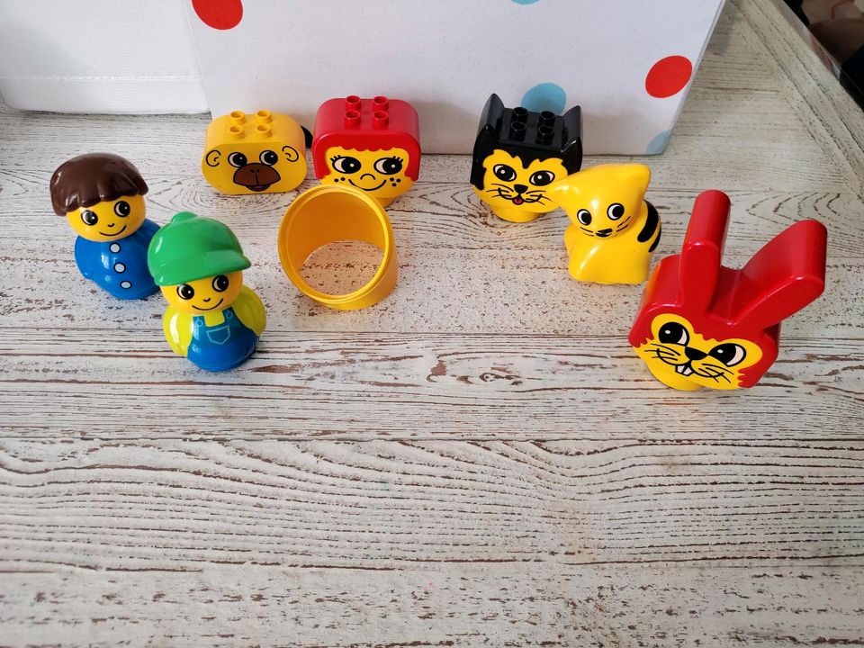 Lego Duplo Primo, Figuren im Set in Paderborn