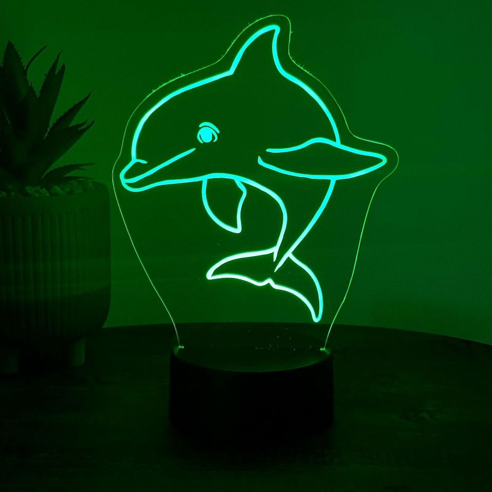 LED Lampe Delfin (auch mit Wunschnamen) in Schülp bei Rendsburg