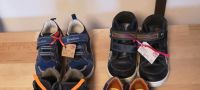 Halbschuhe  Elefanten  Bären Schuhe gr. 26 Niedersachsen - Bockenem Vorschau