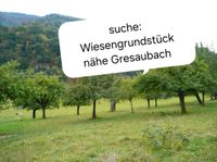 SUCHE Wiesengrundstück, Streuobstwiese um Gresaubach Saarland - Lebach Vorschau