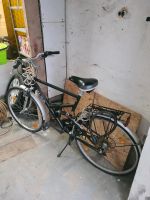 Fahrrad Prophete 28 Zoll Reifen 22 Zoll Rahmen Nordrhein-Westfalen - Lohmar Vorschau