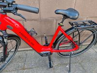 E-bike Herkules Futura Sport I-10 Tief 49 Akku 625 Wh ☆neuwertig☆ Niedersachsen - Hameln Vorschau