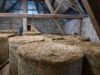 Heu, Pferdeheu, Rundballen Rheinland-Pfalz - Mehren Westerwald Vorschau