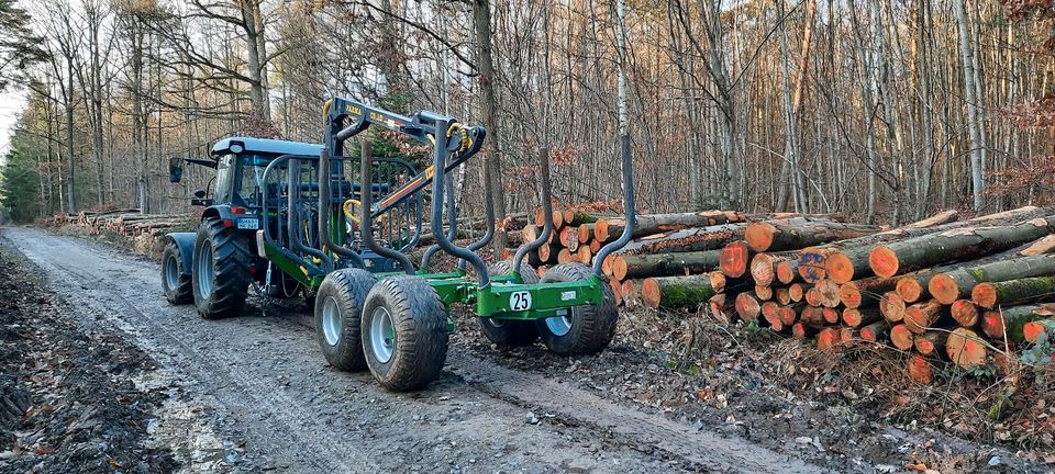 Rückewagen,Holztransport,Brennholz,Stammholz, in Michelfeld