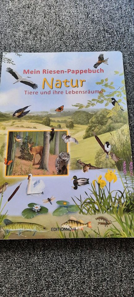 2Lehrreiche Natur u Tierbuch in Namborn