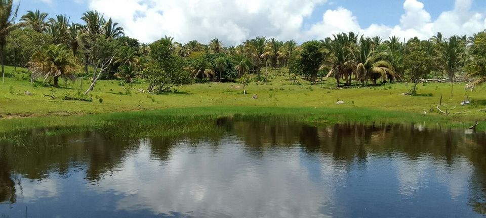 Auswandern Bolivien in Schönhorst